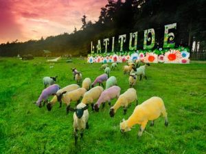 How Your Business Can Benefit From the Festival Season 2011 Latitude Rob Whitworth Latiitude Sign 001 300x225 How Your Business Can Benefit From the Festival Season